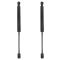 Trunk Lid Lift Support Set