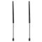 Trunk Lid Lift Support Set