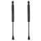 Trunk Lid Lift Support Set