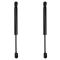 Trunk Lid Lift Support Set