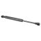Trunk Lid Lift Support Set