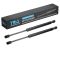 Trunk Lid Lift Support Set