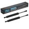 Trunk Lid Lift Support Set