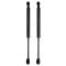 Trunk Lid Lift Support Set