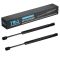 Trunk Lid Lift Support Set