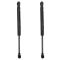 Trunk Lid Lift Support Set