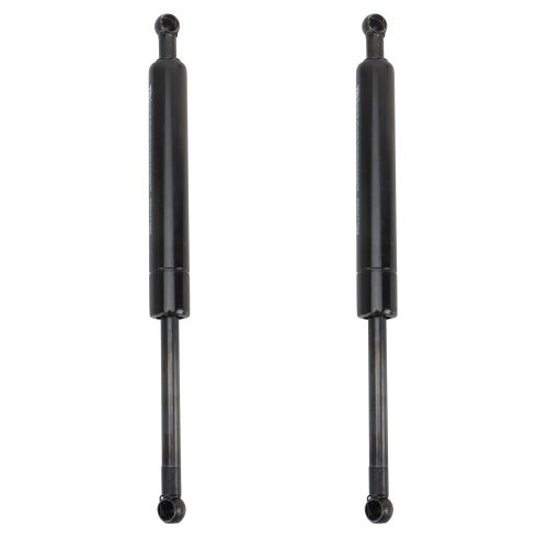 Trunk Lid Lift Support Set