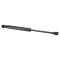 Trunk Lid Lift Support Set