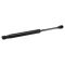 Trunk Lid Lift Support Set