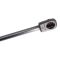 Trunk Lid Lift Support Set