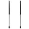 Trunk Lid Lift Support Set