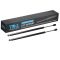 Trunk Lid Lift Support Set