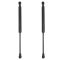 Trunk Lid Lift Support Set