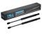 Trunk Lid Lift Support Set