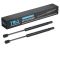Trunk Lid Lift Support Set