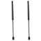 Trunk Lid Lift Support Set