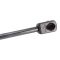 Trunk Lid Lift Support Set