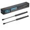 Trunk Lid Lift Support Set