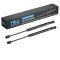 Trunk Lid Lift Support Set