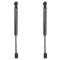 Trunk Lid Lift Support Set