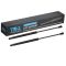 Trunk Lid Lift Support Set
