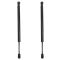 Trunk Lid Lift Support Set