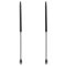 Trunk Lid Lift Support Set