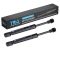 Trunk Lid Lift Support Set