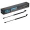 Trunk Lid Lift Support Set