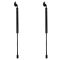 Trunk Lid Lift Support Set
