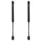 Trunk Lid Lift Support Set
