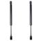 Trunk Lid Lift Support Set