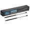 Trunk Lid Lift Support Set