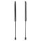 Liftgate Lift Support Set