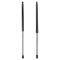 Liftgate Lift Support Set