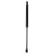 Liftgate Lift Support Set