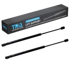 Back Glass Lift Support Set