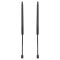 Liftgate Lift Support Set