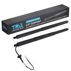 Liftgate Lift Support Set