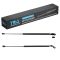 Liftgate Lift Support Set