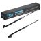 Liftgate Lift Support Set