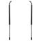 Liftgate Lift Support Set