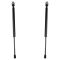 Liftgate Lift Support Set