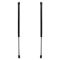 Liftgate Lift Support Set