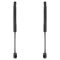 Trunk Lid Lift Support Set