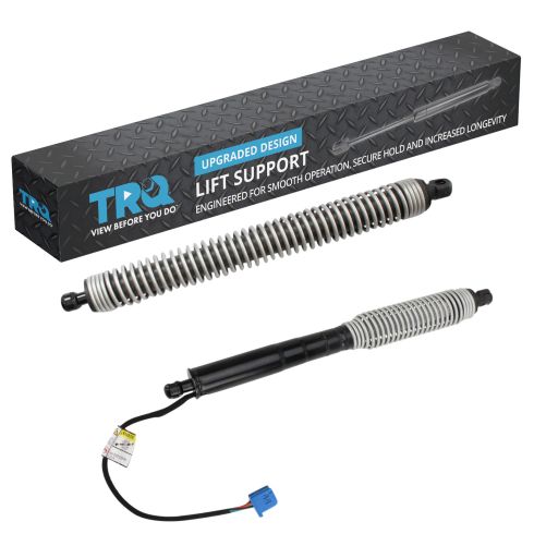Trunk Lid Lift Support Set