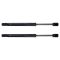Trunk Lid Lift Support Set