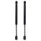 Trunk Lid Lift Support Set
