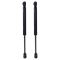 Trunk Lid Lift Support Set