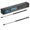 Trunk Lid Lift Support Set